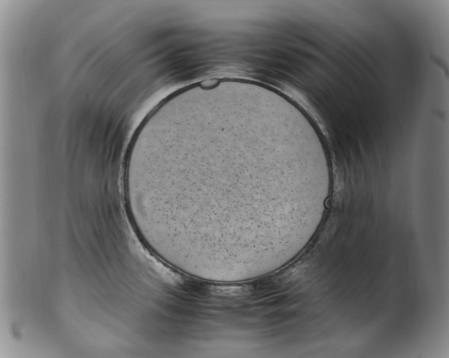 X0000100421339200806271458