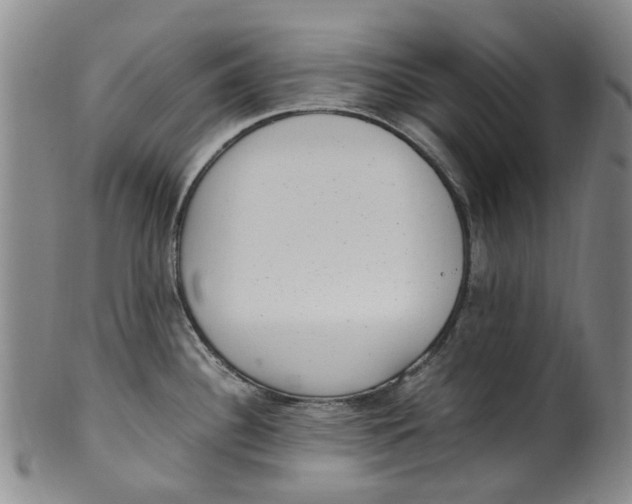 X0000100421340200806271458