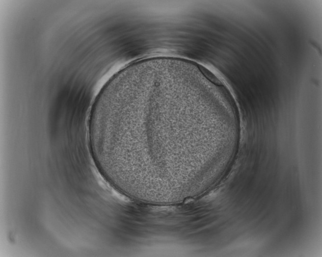 X0000100421341200806271458