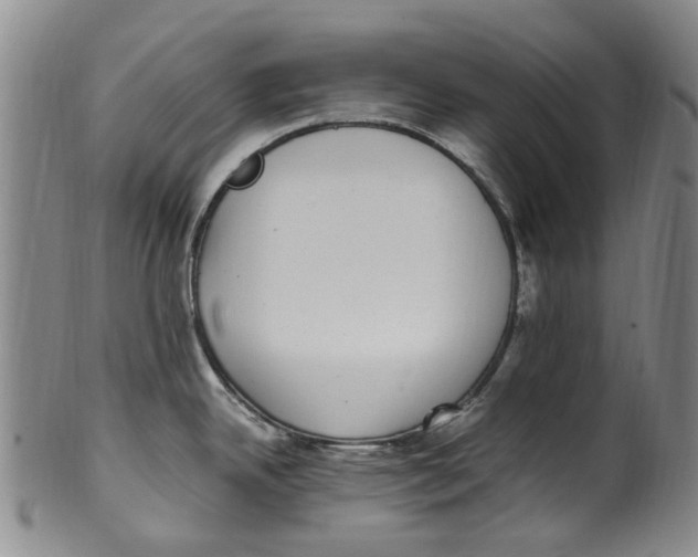 X0000100421342200806271458