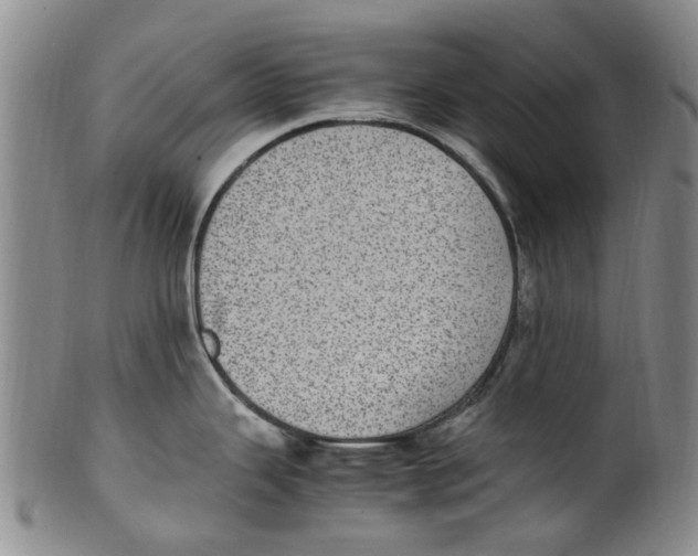 X0000100421343200806271458