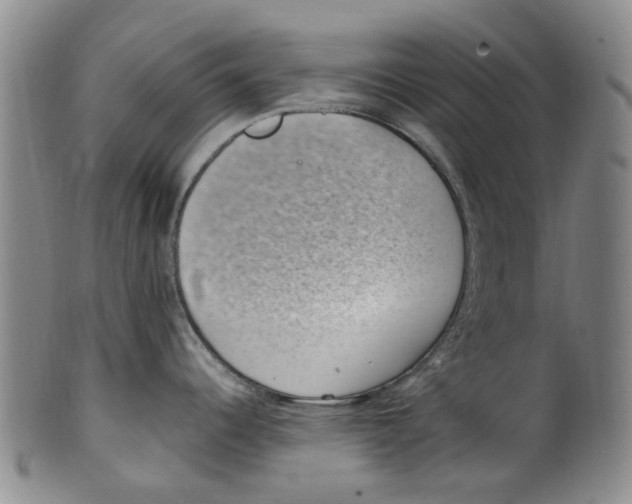 X0000100421344200806271458