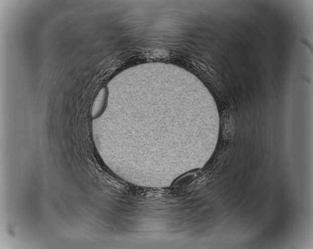 X0000100421345200806271457