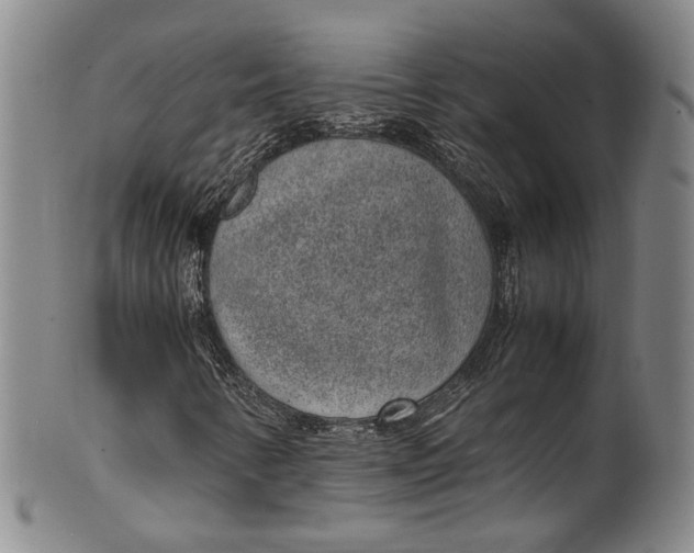 X0000100421346200806271457