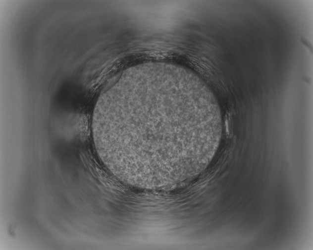 X0000100421347200806271457