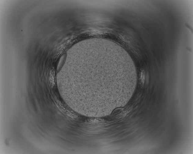 X0000100421348200806271457