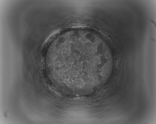 X0000100421351200806271457