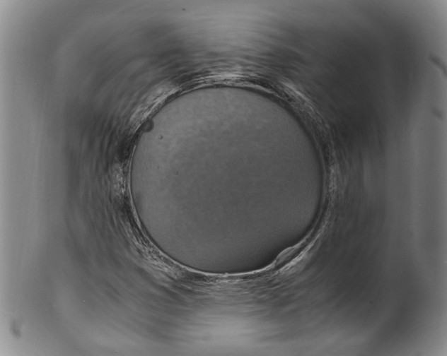 X0000100421353200806271457