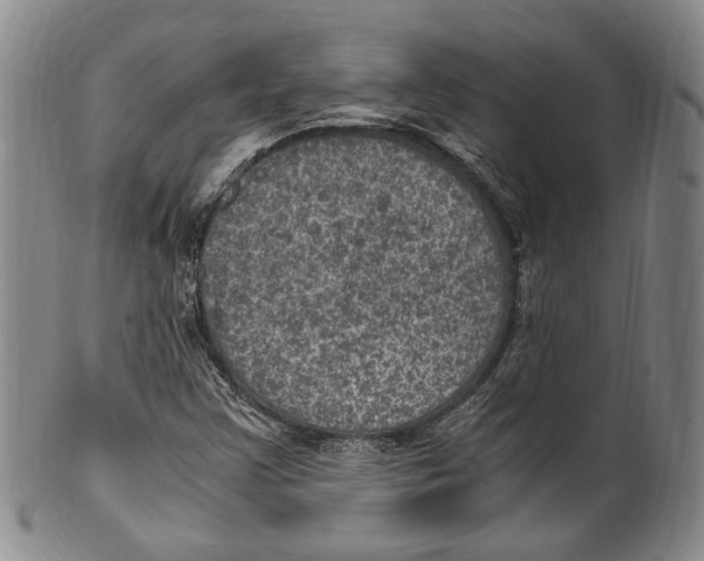 X0000100421355200806271457