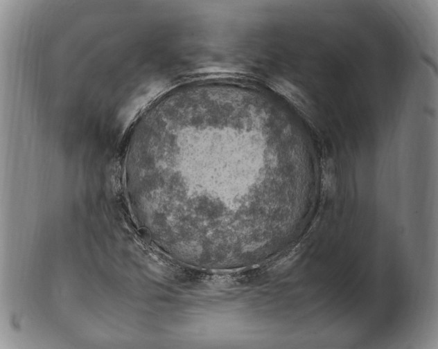 X0000100421357200806271457