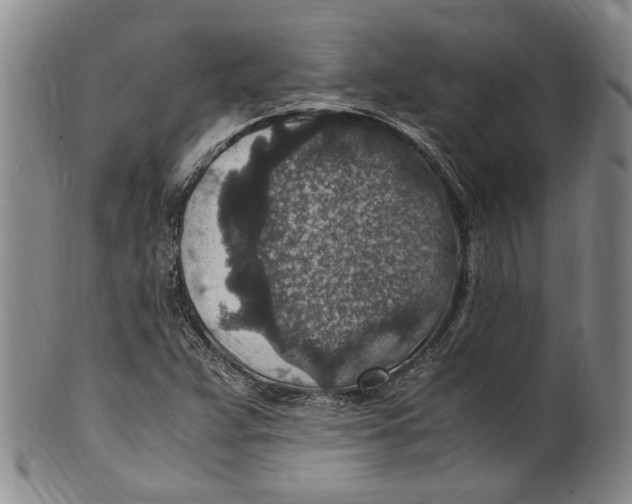 X0000100421359200806271457