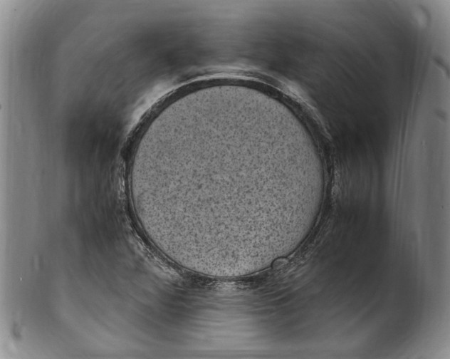 X0000100421360200806271457