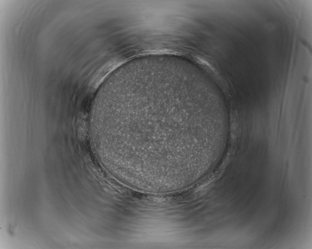 X0000100421361200806271457