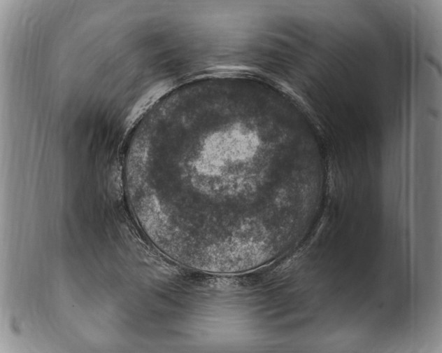 X0000100421362200806271457