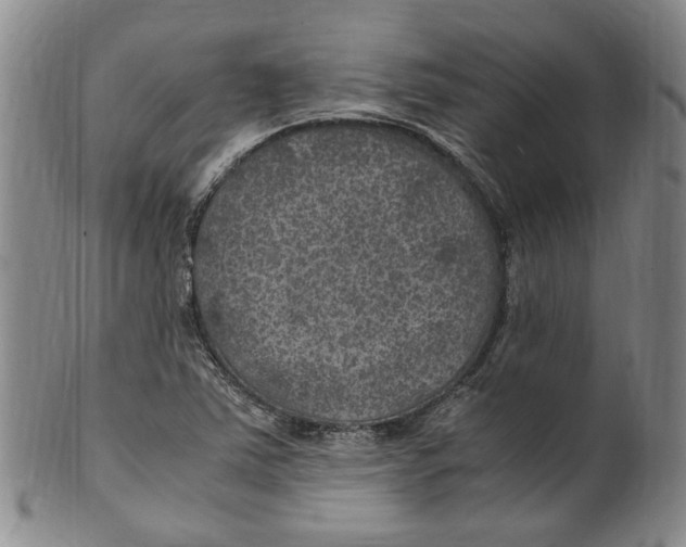 X0000100421363200806271457