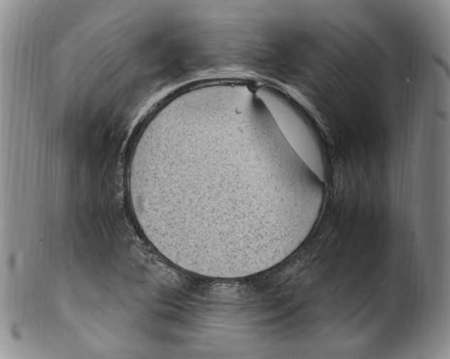 X0000100421364200806271457