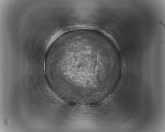 X0000100421365200806271457