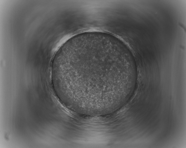 X0000100421367200806271457