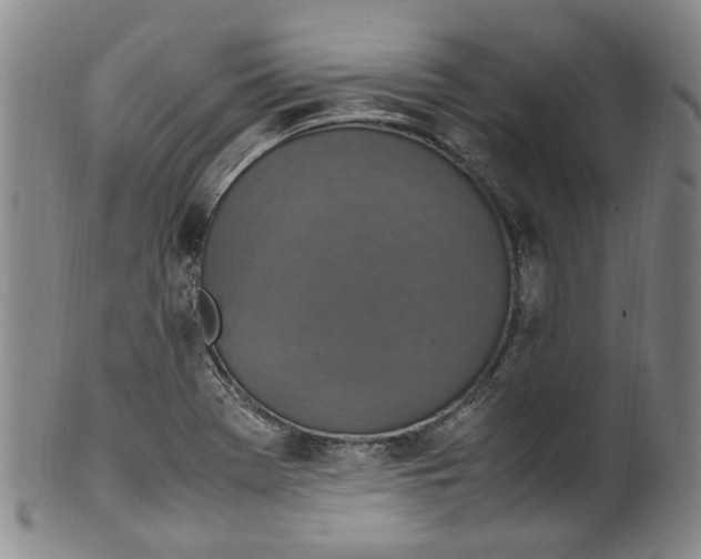 X0000100421369200806271457