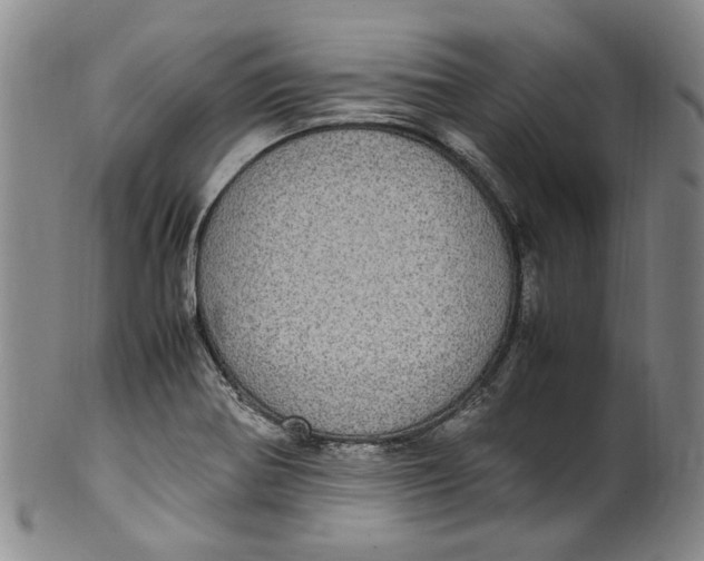 X0000100421370200806271457