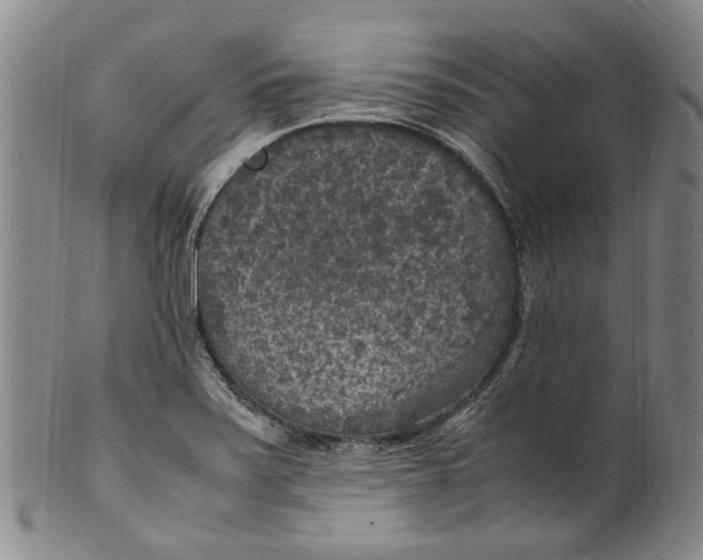 X0000100421371200806271457