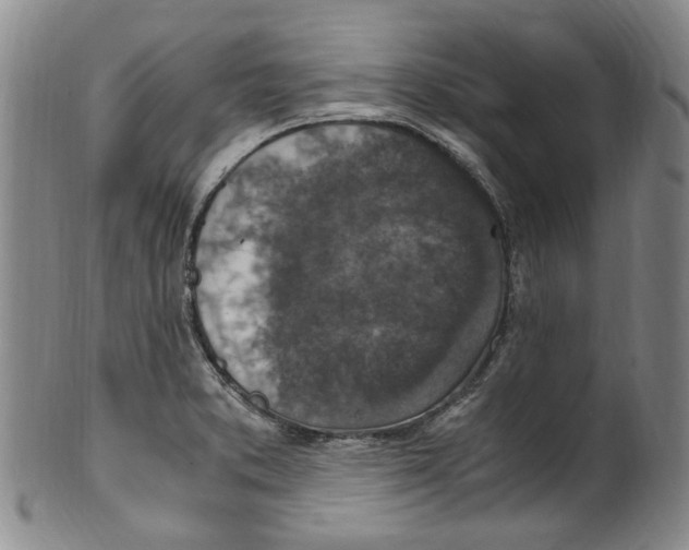 X0000100421373200806271457