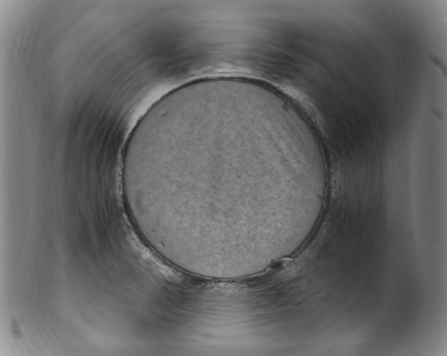 X0000100421374200806271457