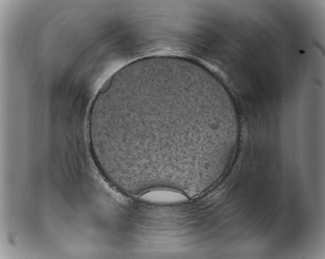 X0000100421375200806271457