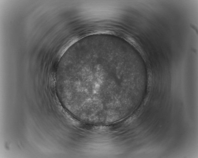 X0000100421377200806271457