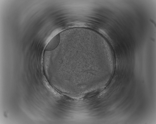 X0000100421378200806271457