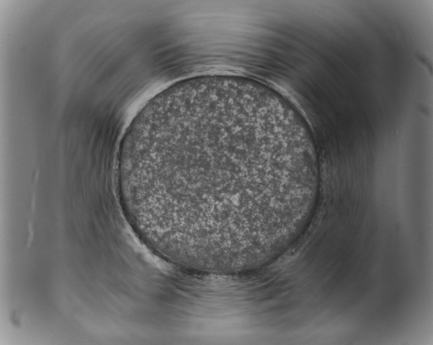 X0000100421379200806271457
