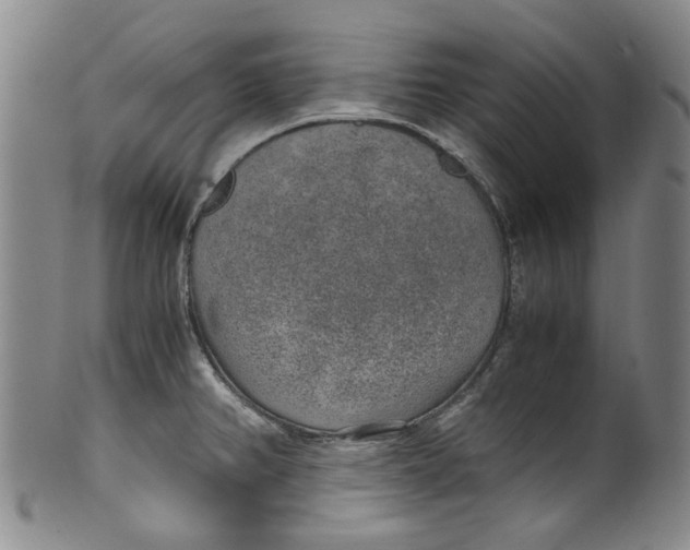 X0000100421382200806271457