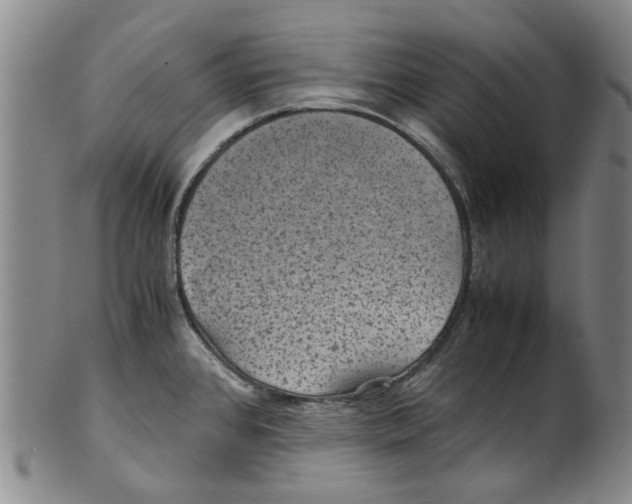 X0000100421384200806271457