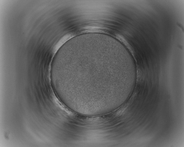 X0000100421386200806271457