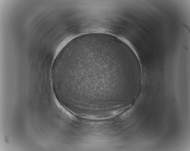 X0000100421389200806271457