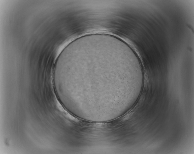 X0000100421390200806271457