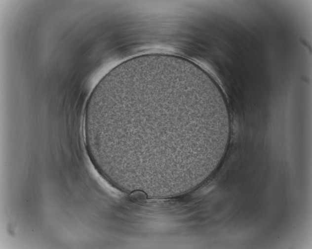 X0000100421391200806271457