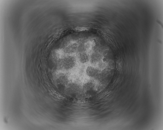 X0000100421393200806271456