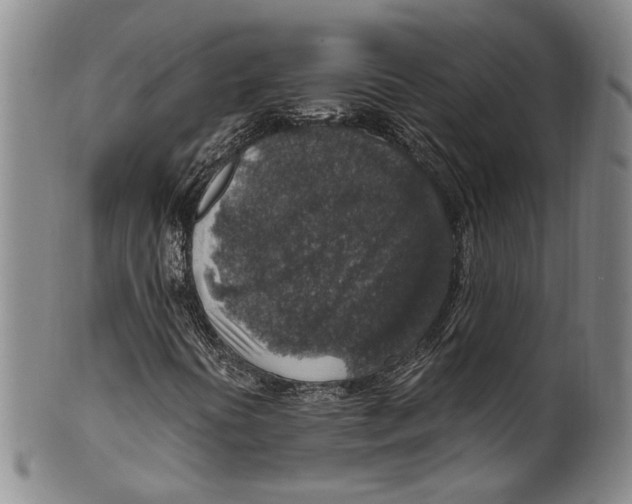 X0000100421394200806271456