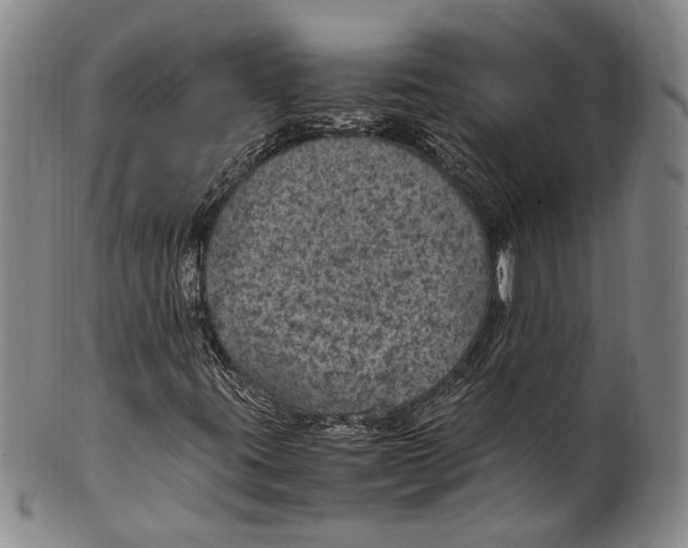 X0000100421395200806271456