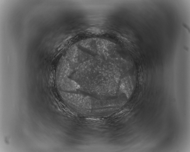 X0000100421397200806271456