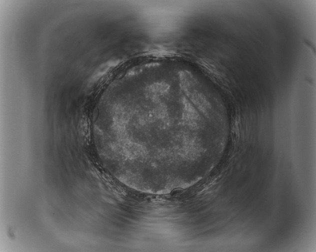 X0000100421398200806271456