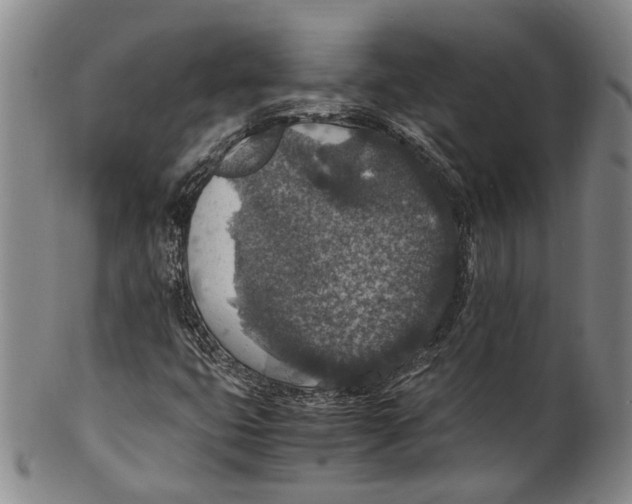 X0000100421399200806271456
