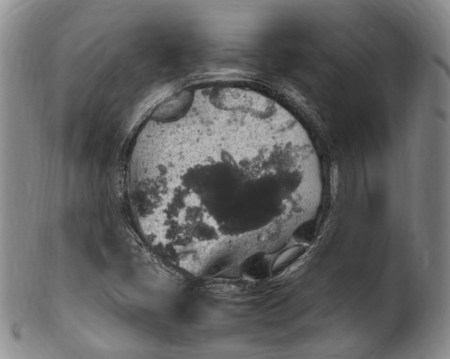 X0000100421405200806271456
