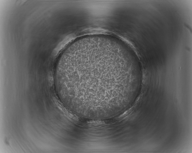 X0000100421407200806271456