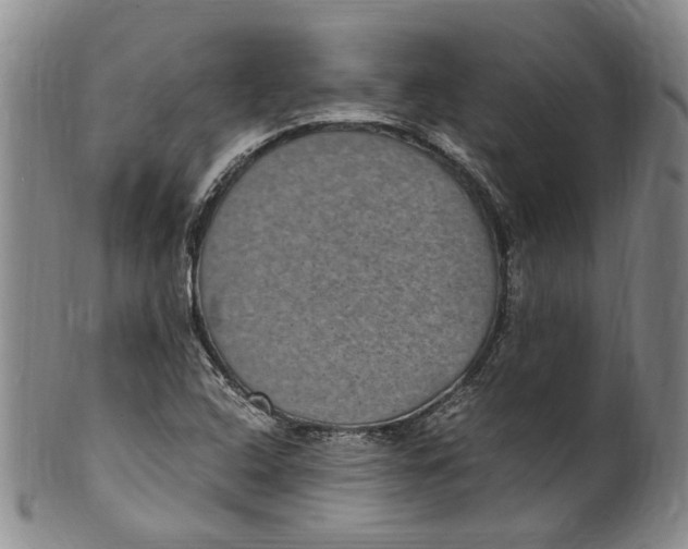 X0000100421408200806271456