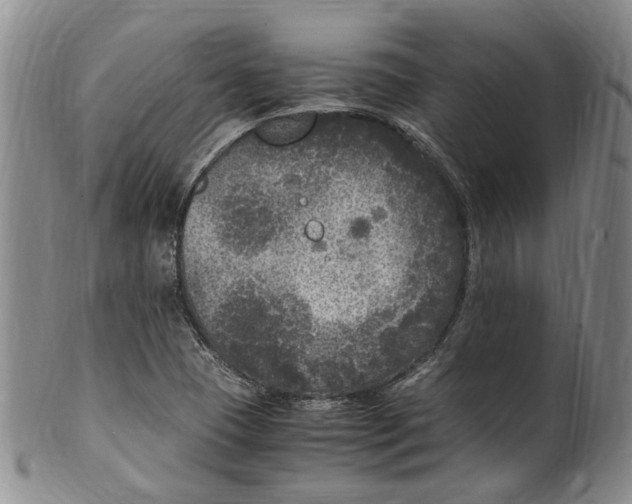 X0000100421409200806271456