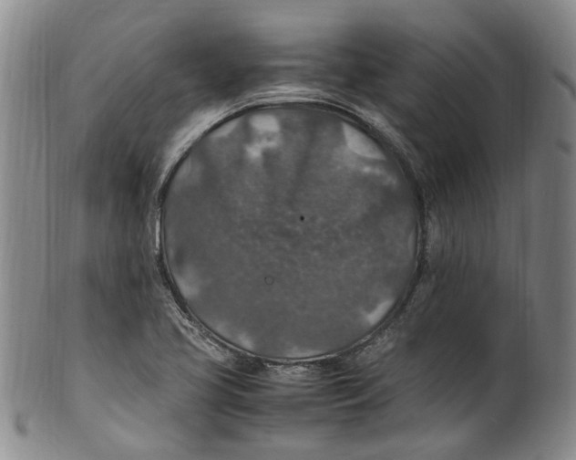 X0000100421413200806271456