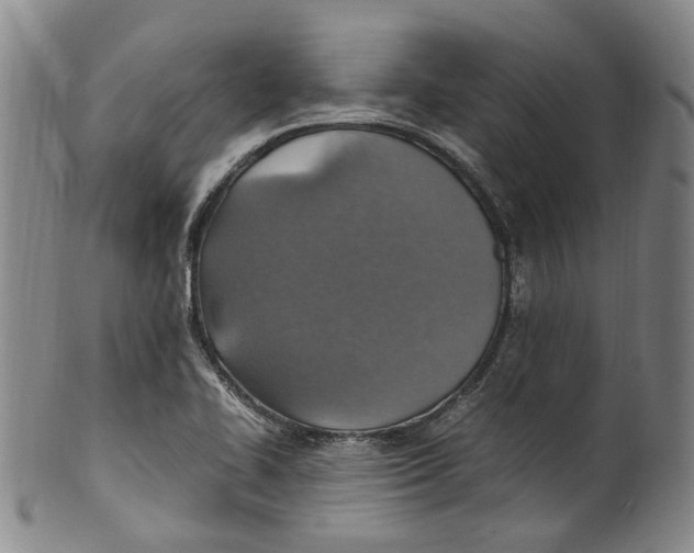 X0000100421414200806271456