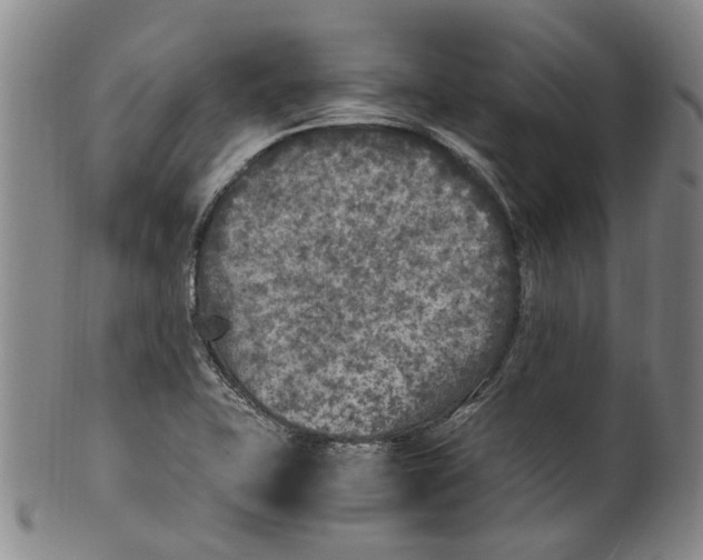 X0000100421415200806271456